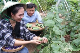 Tọa đàm quảng bá du lịch và xúc tiến thương mại Việt Nam tại Israel