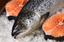 Những sai lầm khi ăn cá hồi khiến món ngon trở thành 'phế phẩm', mất sạch dinh dưỡng