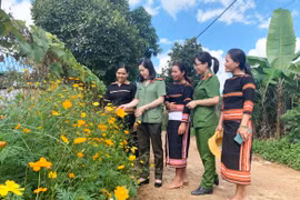 Dấu ấn từ mô hình kết nghĩa