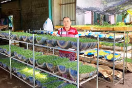 Chống rác thải nhựa: Góp phần thay đổi nhận thức bảo vệ môi trường