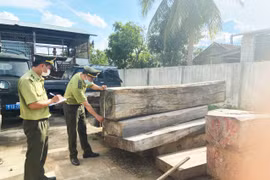 Gia Lai-Bình Định: Phối hợp chặt chẽ quản lý, bảo vệ rừng giáp ranh