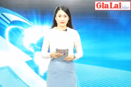 Gia Lai 48h: Nghiêm cấm can thiệp vào việc xử lý vi phạm nồng độ cồn