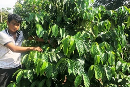 Đảng viên Siu Beo nói đi đôi với làm