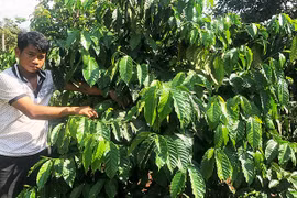 Đảng viên Siu Beo nói đi đôi với làm