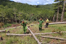 Nhức nhối chuyện giữ rừng