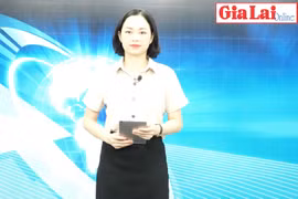 Gia Lai 48h: Dự án Trung tâm Thương mại Pleiku: Vẫn đang chờ nhà đầu tư