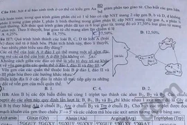 Lộ đề thi: Ngành giáo dục cần đối diện câu hỏi thẳng và câu trả lời thật