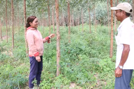 Kông Chro: Đồng bào dân tộc thiểu số thay đổi nếp nghĩ, cách làm