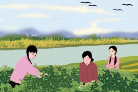 Mùa mè bên sông Ba