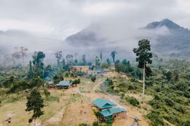 Người mang họ Hồ: Dựng những miền 'đất hứa'