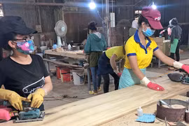 UBND tỉnh Gia Lai trả lời về chính sách hỗ trợ người lao động gặp khó khăn do đại dịch Covid-19