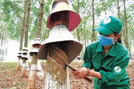 Gia Lai triển khai thu thập, lưu trữ, tổng hợp thông tin thị trường lao động