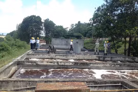 Phát triển sản xuất gắn với bảo vệ môi trường