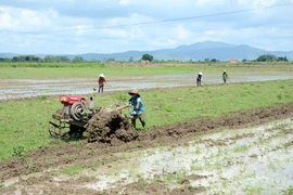 Ia Pa làm tốt công tác triển khai vụ mùa