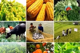 Từ ngày 1-7: Điều kiện đầu tư kinh doanh 6 lĩnh vực ngành nông nghiệp