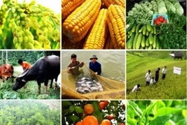 Từ ngày 1-7: Điều kiện đầu tư kinh doanh 6 lĩnh vực ngành nông nghiệp