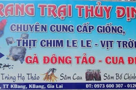 Trang trại Thủy Định