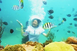 Trải nghiệm đi bộ dưới đáy biển ngắm san hô ở Nha Trang