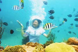Trải nghiệm đi bộ dưới đáy biển ngắm san hô ở Nha Trang