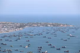 Bình Thuận: Xây dựng sản phẩm "Du lịch xanh" tại đảo Phú Quý