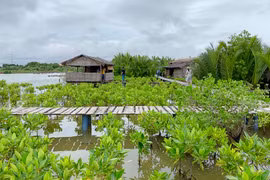 Lần đầu trải nghiệm với Người Giữ Rừng