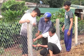 Ánh sáng từ những công trình nông thôn mới