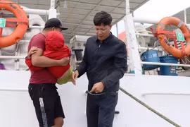 Dịch sốt xuất huyết bùng phát, người dân Lý Sơn thuê tàu vượt biển vào đất liền cấp cứu