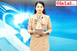 Gia Lai 48h: Siết chặt quản lý thuế trong hoạt động kinh doanh vận tải