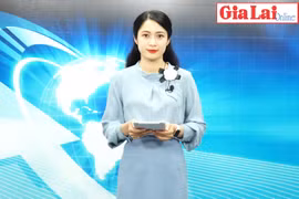 Gia Lai 48h: Giám sát việc chuyển mục đích sử dụng rừng để thực hiện Dự án Nhà máy thủy điện Ia Ly mở rộng