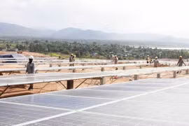 Công ty Điện lực Gia Lai thua kiện vì ngừng thanh toán tiền bán điện