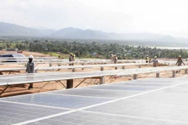 Công ty Điện lực Gia Lai thua kiện vì ngừng thanh toán tiền bán điện