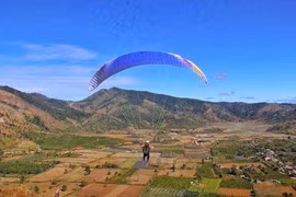 Từ ngày 11 đến 17-11: Nhiều trải nghiệm tại lễ hội hoa dã quỳ