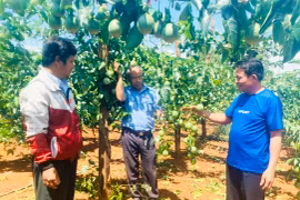 Cựu chiến binh Nguyễn Minh vươn lên từ tay trắng