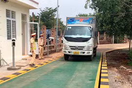 Gia Lai mạnh tay xử lý vi phạm về trật tự an toàn giao thông