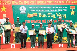 Công ty Cao su Chư Păh tổ chức thi Bàn tay vàng khai thác mủ cao su