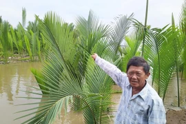 Phiêu bạt thương hồ-Kỳ 4: 'Ngọc nữ ngủ quên'