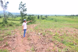 Nhiều hộ dân ở Chư Pưh bức xúc vì giấy chứng nhận quyền sử dụng đất không đúng thực tế