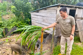 Ấm no nhờ thay nếp nghĩ, đổi cách làm