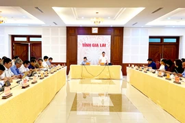 Gia Lai tiếp tục tổng hợp, giải quyết dứt điểm các kiến nghị, đề xuất của doanh nghiệp, hợp tác xã