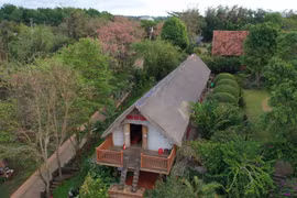 Bộ trưởng Lê Minh Hoan gợi ý các tỉnh Tây Nguyên làm cà phê cảnh quan, "cà phê phải từ cà phê"