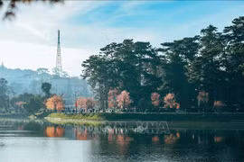 Triển khai dự án chiếu sáng nghệ thuật hồ Xuân Hương