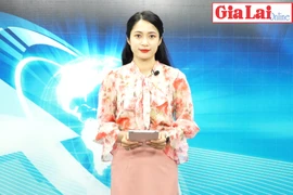 Gia Lai 48h: Đấu tranh, triệt phá các đường dây buôn lậu, gian lận thương mại và hàng giả