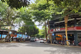 Đô thị cà phê Buôn Ma Thuột: Làm sao thành hiện thực?