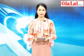 Gia Lai 48h: Đấu tranh, triệt phá các đường dây buôn lậu, gian lận thương mại và hàng giả