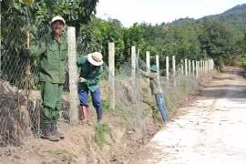 Chư Păh quan tâm chăm lo đời sống người cao tuổi