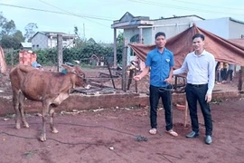 Chư Prông: Trao tặng bò giống cho 10 đoàn viên, thanh niên dân tộc thiểu số có hoàn cảnh khó khăn