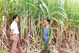 Chư Sê: Nông hội thúc đẩy phát triển kinh tế, gắn kết cộng đồng