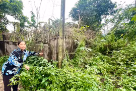 Tòa án nhân dân TP. Pleiku: Nhiều khúc mắc sau một bản án