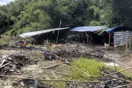 Nhức nhối nạn khai thác vàng trên đất rừng ở Đắk Nông