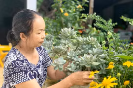 Người Gia Lai: "Yêu cây, yêu hoa hóa ra yêu đời"